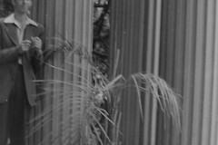 Beckett Residence Los Angeles