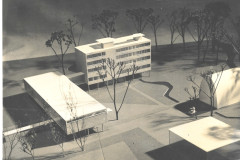 University Thesis Photo_2025-03-14_151451-2