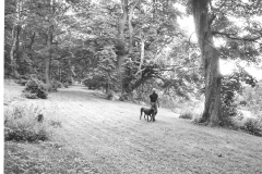 Bob Parsons Newark Park