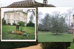 Bob Parsons planting a tree Newrk Park