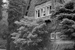 Los Angeles 1940’s