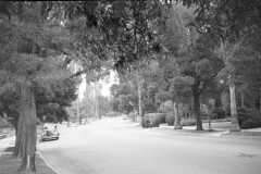 Los Angeles 1940’s