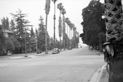 Los Angeles 1940’s