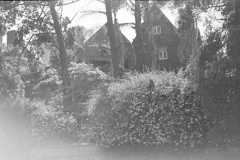 Los Angeles 1940’s