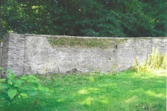 Volunteers clearing ivy from lake garden wall