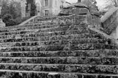 Chateau de Menars 1945