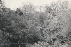 1970 view  to house from lower garden