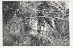 Castle folly 1970