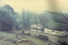 1970's lake garden Newark Park