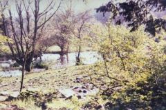 1970 view of abandoned lake garden Newark Park