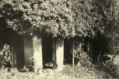 1970 Summerhouse Newark Park