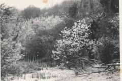 1970 Lakeside Newark Park