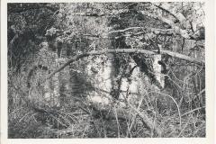 1970 sham castle folly Newark Park