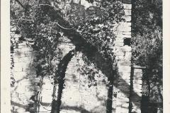 1970 Sham castle folly Newark Park