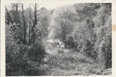 1970 Lakeside Newark Park