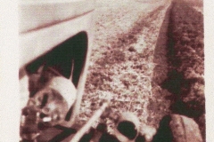 1940 ploughing the parkland Newark Park
