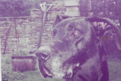 Trudy-Newark-Park-1984