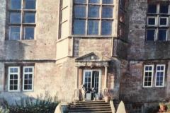 Great Dane Max at  Newark Park