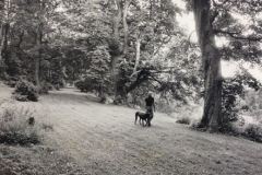 Bob and Great Dane Trudy in the garden at Newark Park