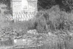 1890 view of lake summerhouse Newark Park