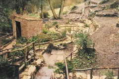 Cliff-Garden-Newark-Park-4-1986