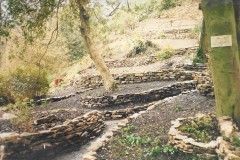 Cliff-garden-Newark-Park-1986