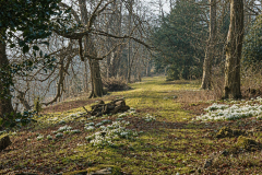 Newark-Park-1980s-RM-Glade