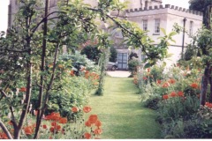 North garden Newark Park