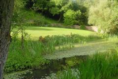 Lake Newark Park 2011