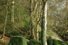 Glade Newark Park