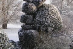 Topiary Newark Park