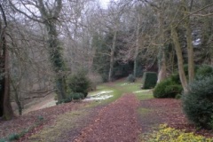 The glade Newark Park