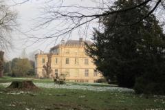 Snowdrops Newark Park