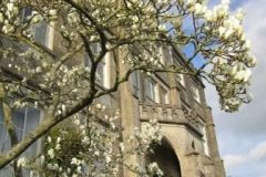 South porch and magnolia Newark Park