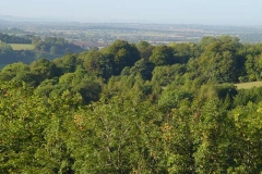 View from south Newark Park 2010