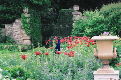 East walled garden  2010