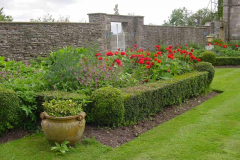 East walled garden  2010