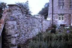 East Walled garden Newark Park 1980