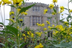 East walled garden Newark Park