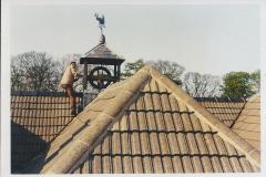 1970 view of roof Newark Park
