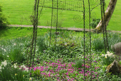 Newark Park garden