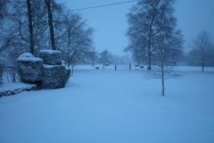 Newark Park Winter 2006