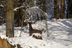 Newark Park Winter 2006