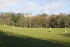 Newark Park View from south