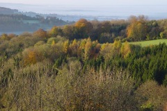 Newark Park view from terrace