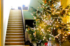 Newark Park Christmas