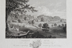Newark Park - Archive, Images and Documents