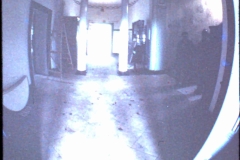 1970 room Newark Park, entrance hall