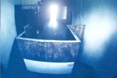 1970 room Newark Park